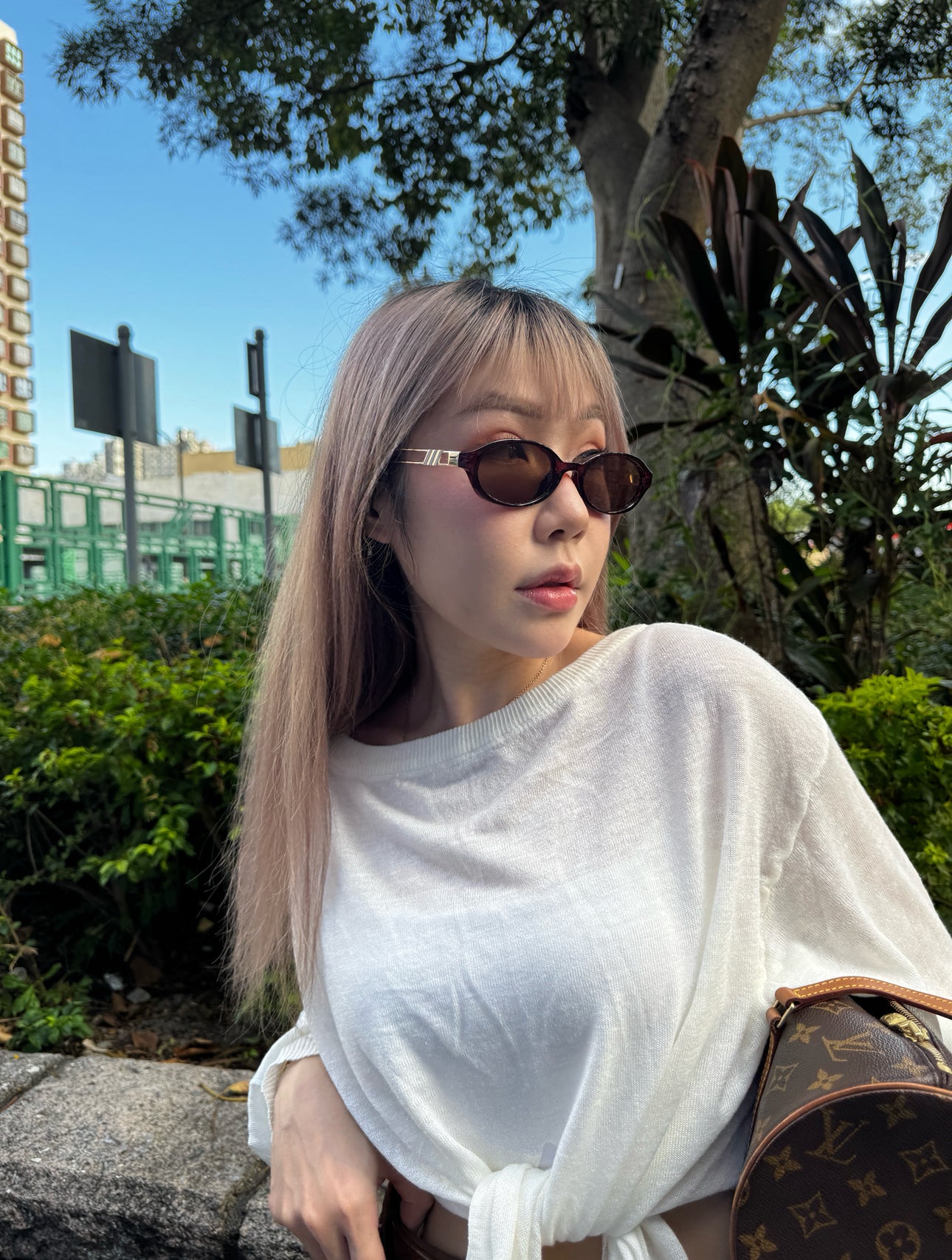 茶色淺金架太陽眼鏡